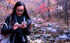 青娱乐老视频分类视频